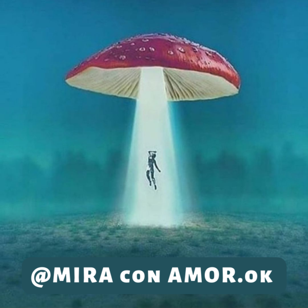 Imán Mushroom Abduction