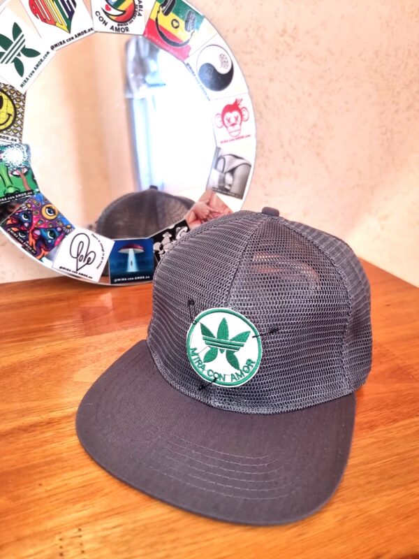 Gorra tipo Baseball Gris
