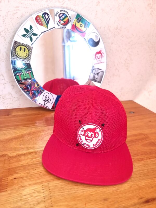 Gorra tipo Baseball Mono