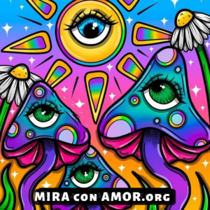 Imán Mira con Amor Sunshine
